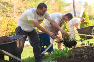landscapers