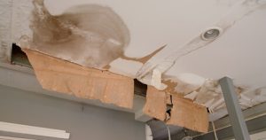 water damage remediation
